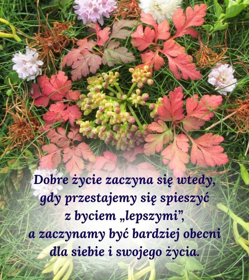 You are currently viewing Dobre życie zaczyna się w równowadze ciała, umysłu i ducha
